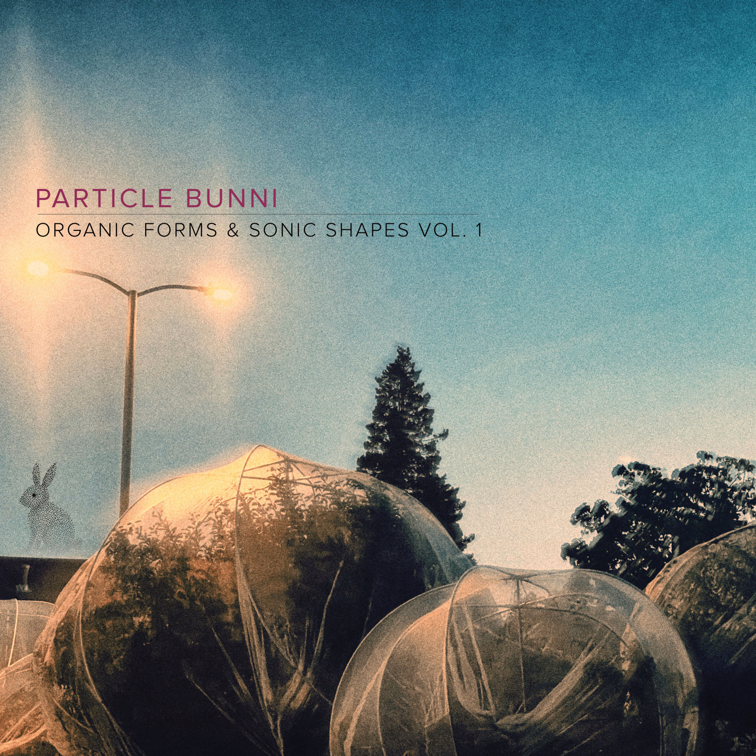 Organic Forms & Sonic Shapes